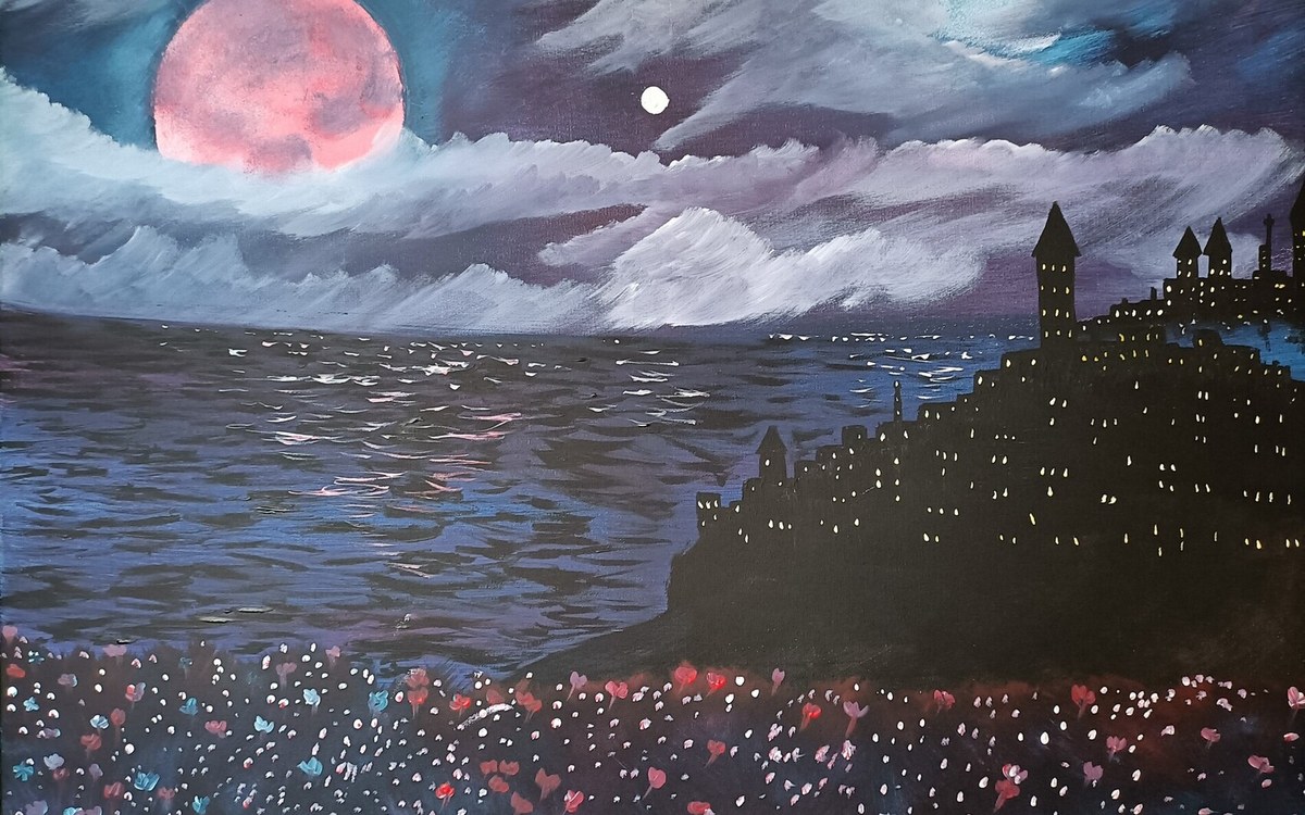 Découverte de Pokémon XD : Le Retour des Ombres